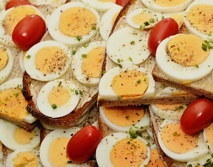 Eggs FITPASS