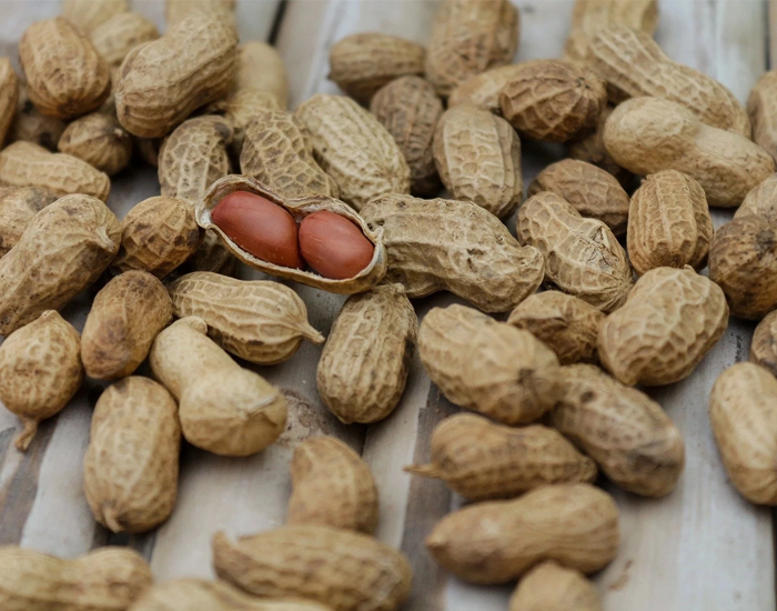 Peanuts FITPASS