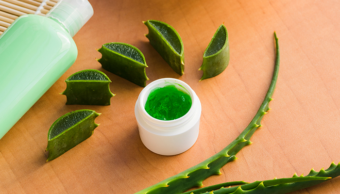 aloe vera a natural solution for everyday health