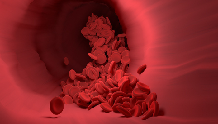 Red blood cells flowing through a blood vessel