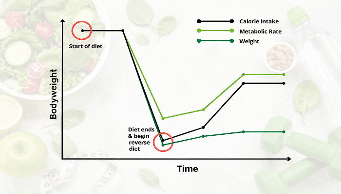 Reverse diet graph