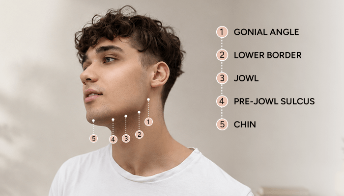 Gonial angle representation showing 5 points in jawline