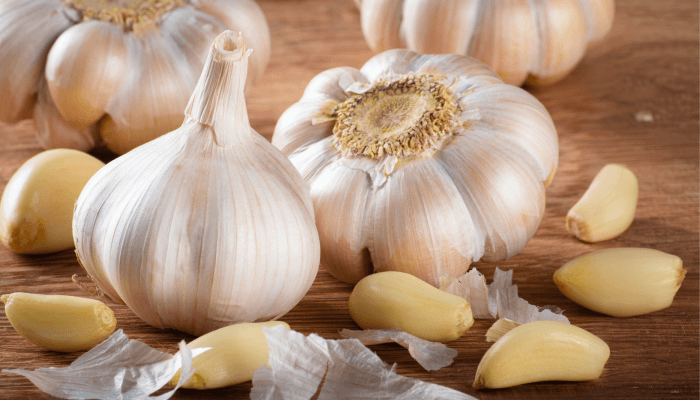 raw garlic bulbs