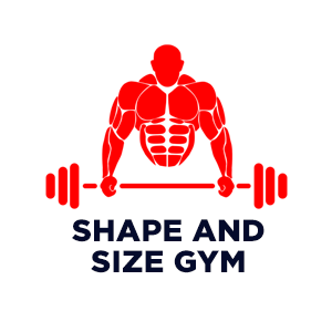Shape And Size Gym Shape And Size Gym