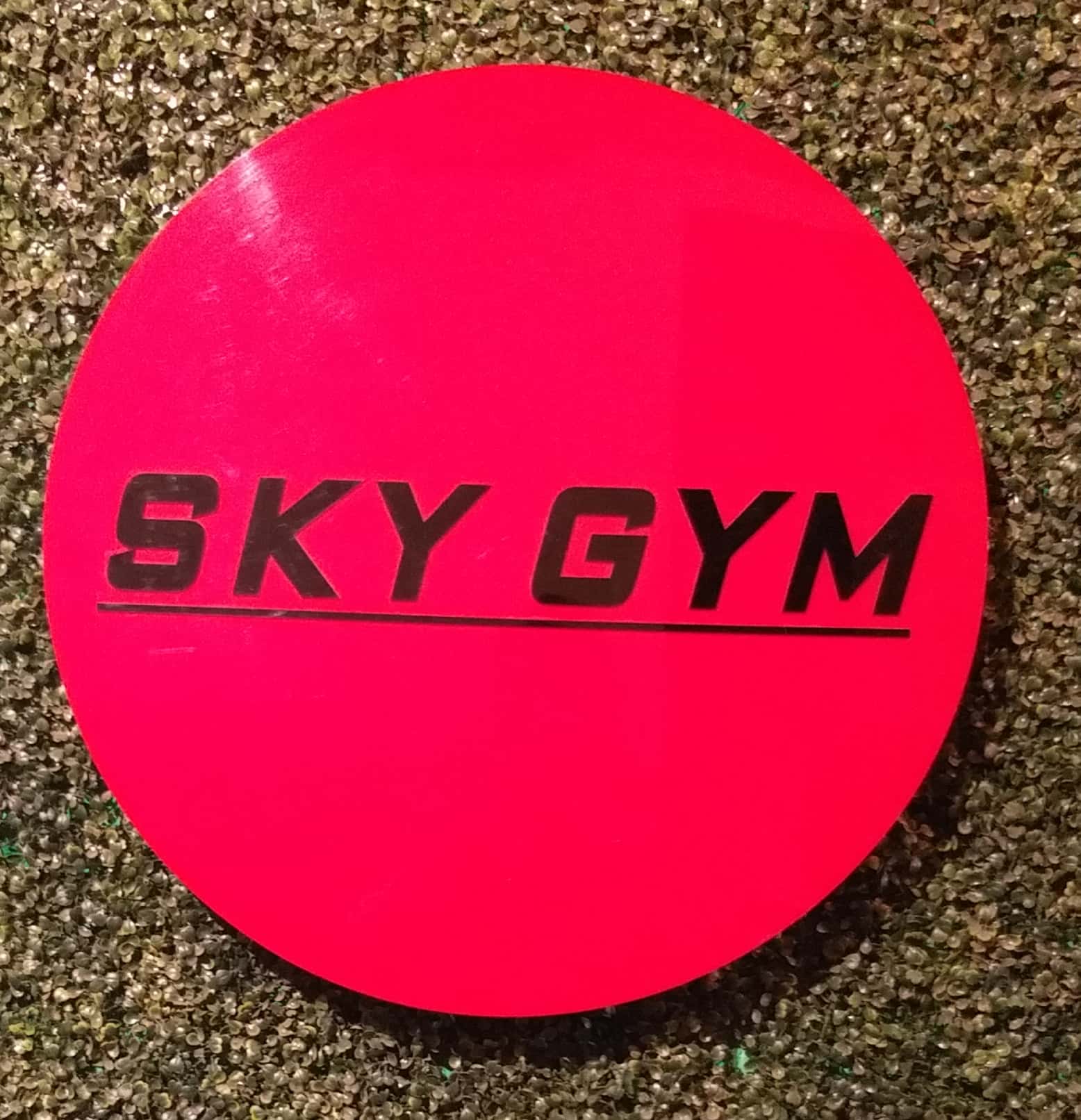 Sky Gym