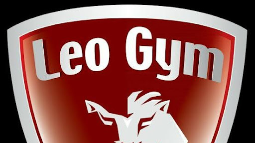 Leo Gym Sector 3 Faridabad