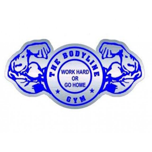 The Bodyline Gym Sector 85 Gurgaon