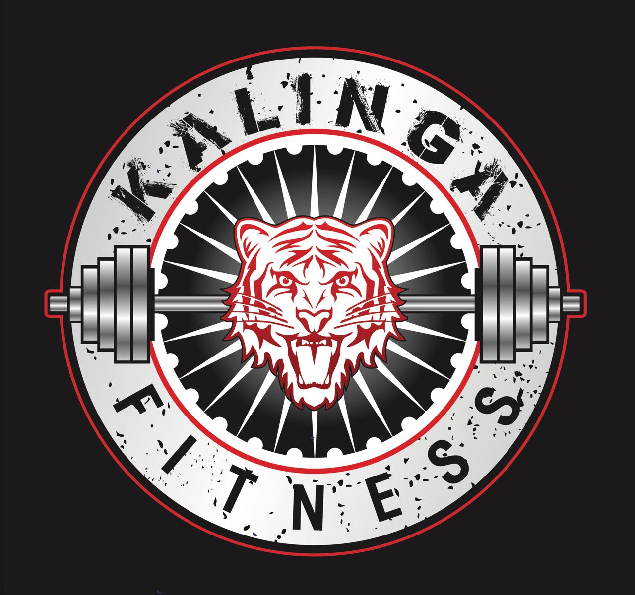 Kalinga Fitness Gym Bharatpur