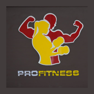 Pro Fitness Gym Krishna Nagar