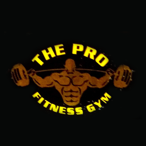 The Pro Fitness Gym Danilimada