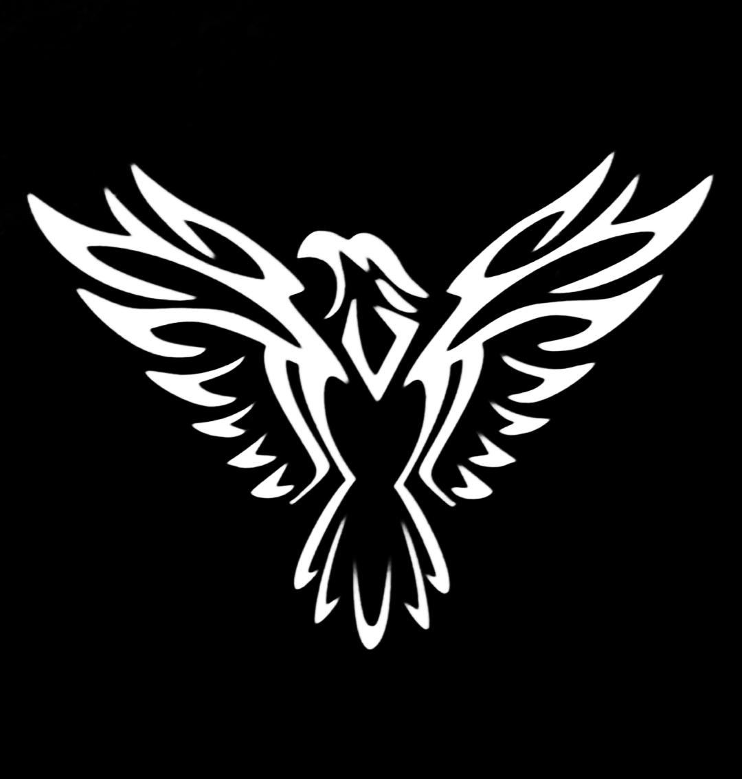 Eagle Fitness Nagarbhavi Circle