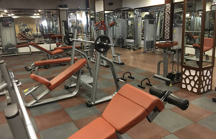 Body Freak Gym Alipur Road Body Freak Gym Alipur Road
