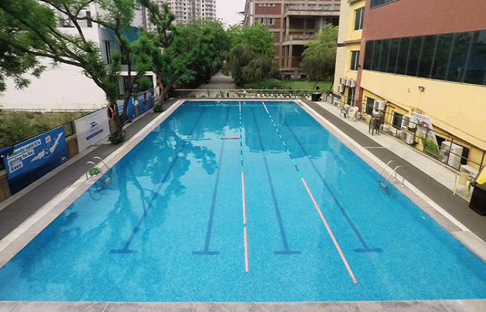 Fitso Seals Swimming Academy Excelsior American School Sector 43 Gurgaon Fitso Seals Swimming Academy Excelsior American School Sector 43 Gurgaon