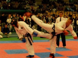 Sterling Taekwondo Association Sector 15 Faridabad Sterling Taekwondo Association Sector 15 Faridabad