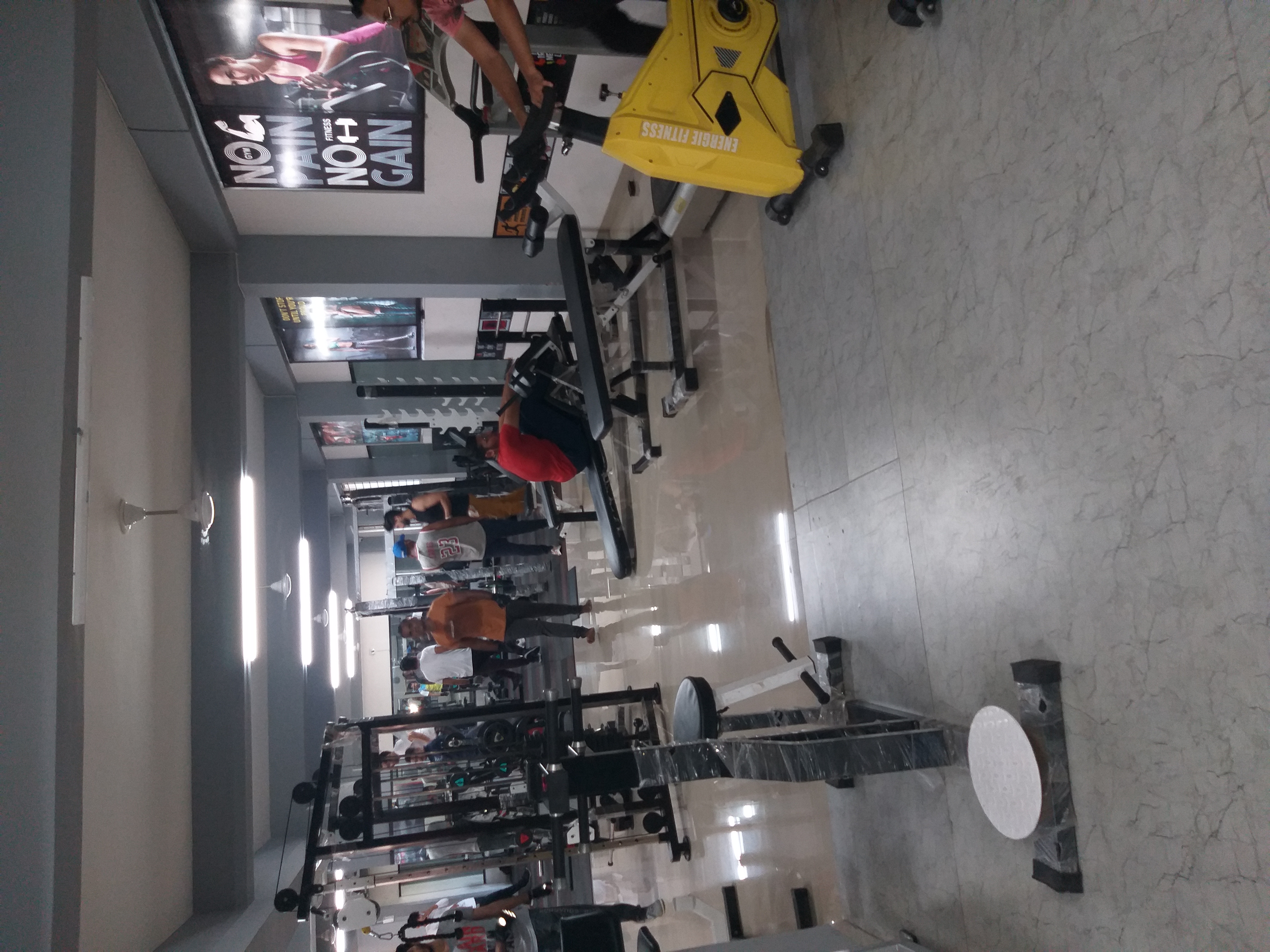 The 365 Gym Bungalow Area Kubernagar The 365 Gym Bungalow Area Kubernagar