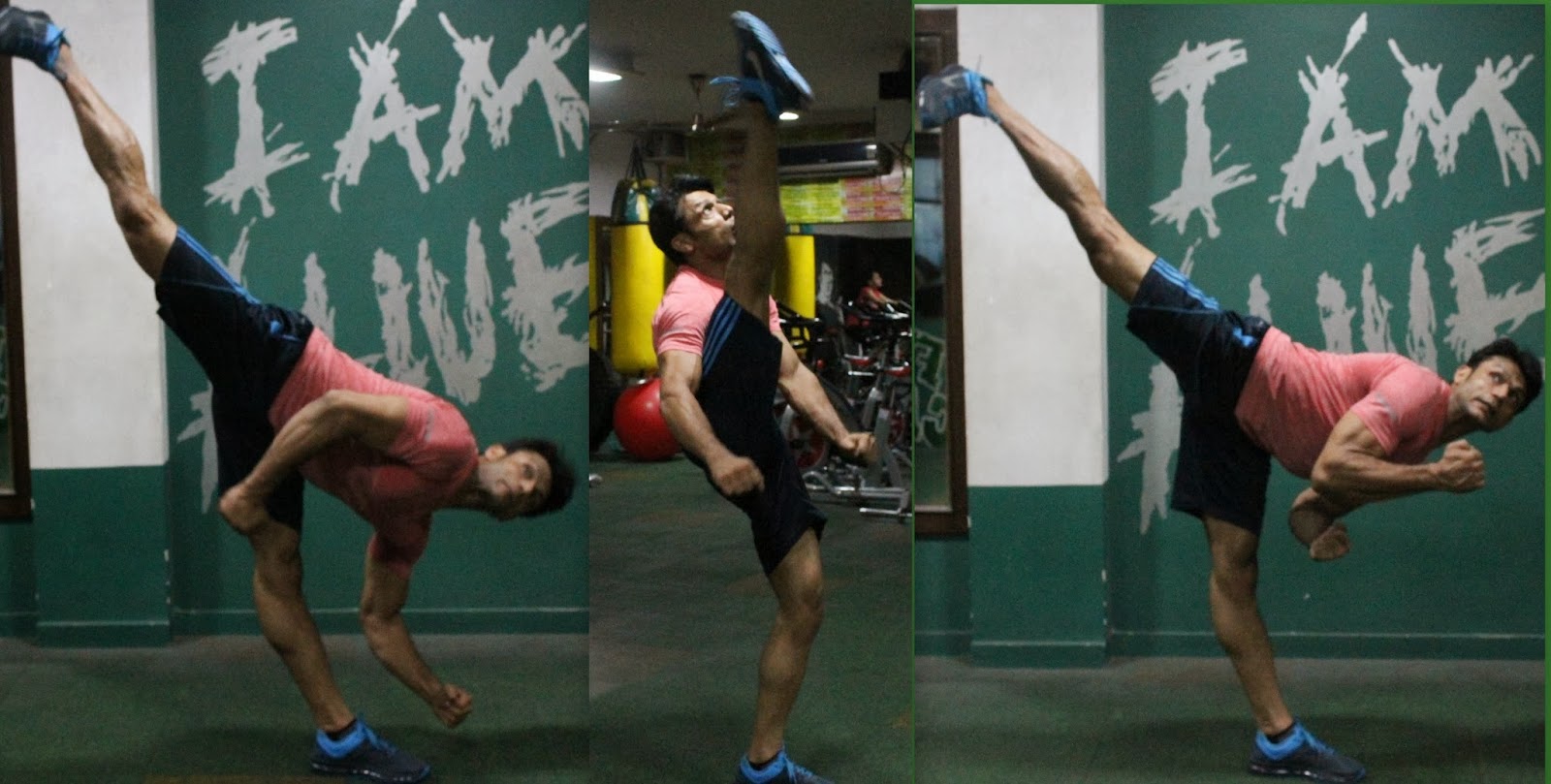 Fitness Alive Gym N Functional Training Studio Paschim Vihar Fitness Alive Gym N Functional Training Studio Paschim Vihar