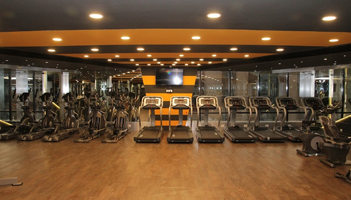 Pulse 8 Elite Srinagar Colony Pulse 8 Elite Srinagar Colony