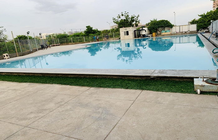 Fitso Seals Swimming Academy Dolphin Swimming Gachibowli Fitso Seals Swimming Academy Dolphin Swimming Gachibowli