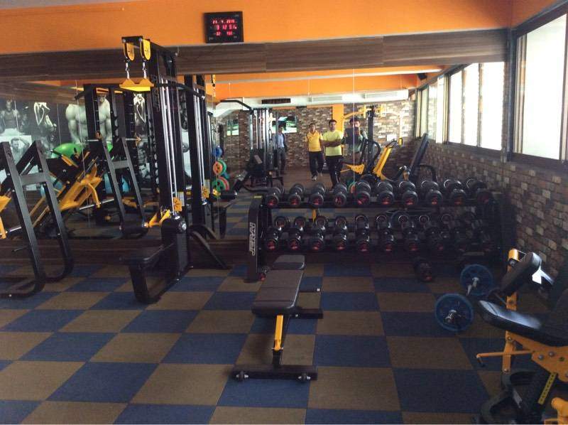 Muscle Gym Science City Muscle Gym Science City