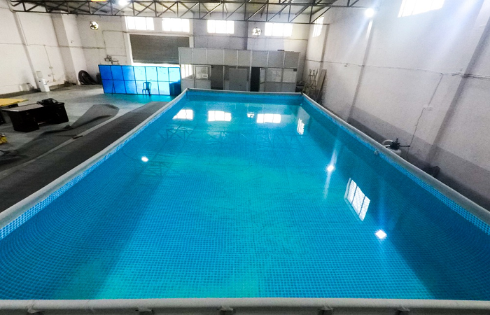 Fitso SEALs Swimming Academy Sector 3 Gurgaon Fitso SEALs Swimming Academy Sector 3 Gurgaon