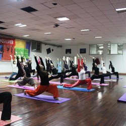 YogAbhayas Greater Kailash 1 YogAbhayas Greater Kailash 1