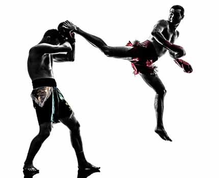 Kaishogun Martial Arts Sector 56 Gurgaon Kaishogun Martial Arts Sector 56 Gurgaon