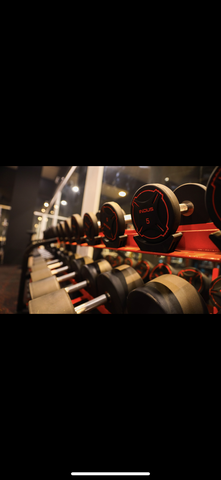 Alpha Fitness Seawoods Alpha Fitness Seawoods