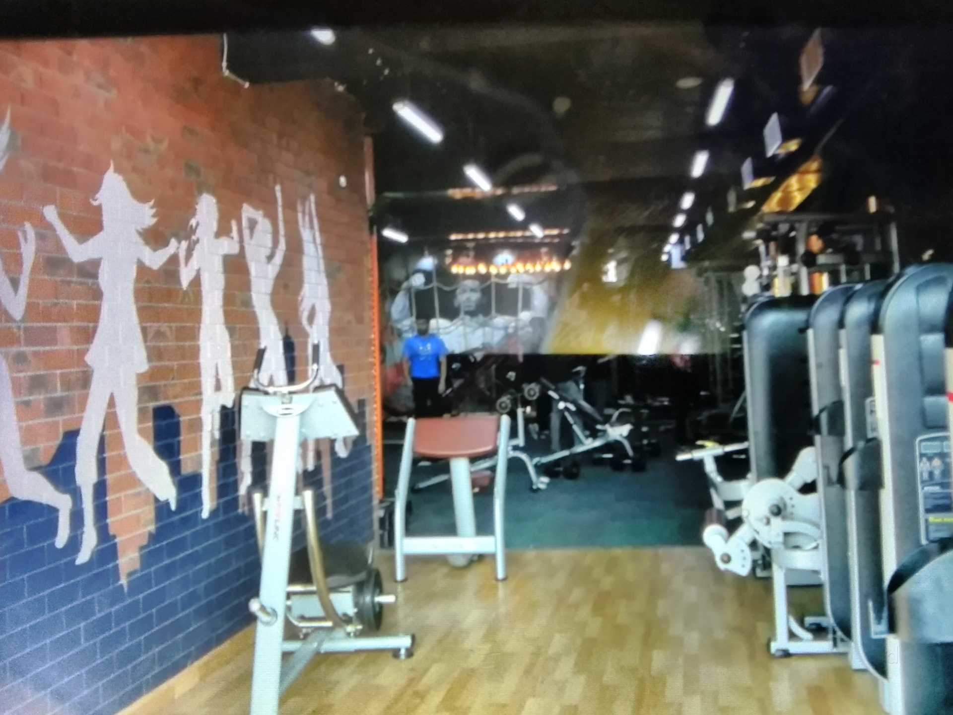 Arnold Fitness Point Sector 37a Gurgaon Arnold Fitness Point Sector 37a Gurgaon