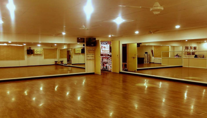 ZIVI Fun N Fit Fitness