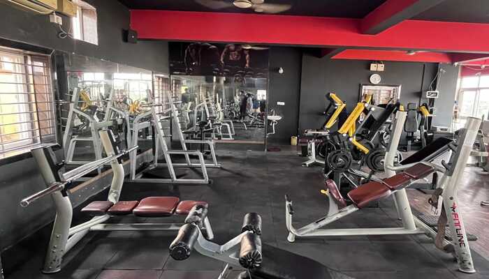Tribe Fitness