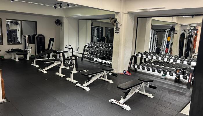 Mesomorph Fitness Academy