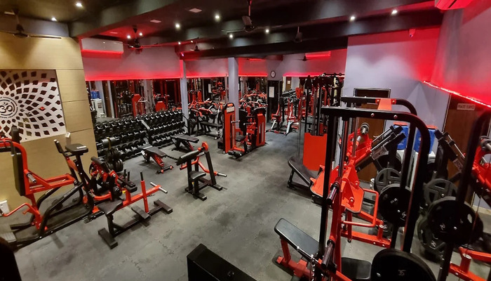 Iron Paradise Gym